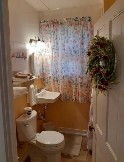 #05 - Lakefront Two Bedroom Cottage- Pet Friendly Хот-Спрингс Экстерьер фото